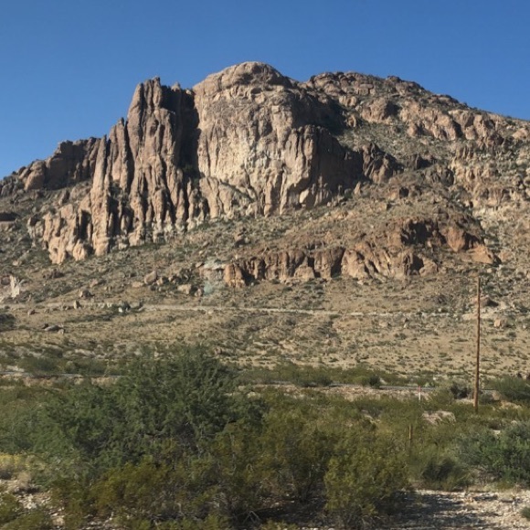 Profile Picture of Lillian Lamb (@lillianlamb884) on Poshmark