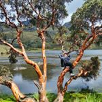 Profile Picture of Kenny Calderón (@kennyroger7) on Instagram