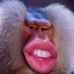 Profile Picture of Jason Pellerin (@jason.pellerin.969) on Facebook