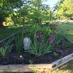 Profile Picture of Lisa Honaker (@lisa.honaker.14) on Facebook