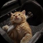 Jeremy Lansangan Epogon - Facebook Profile Picture of Jeremy Lansangan Epogon (@qEmyp) on Facebook