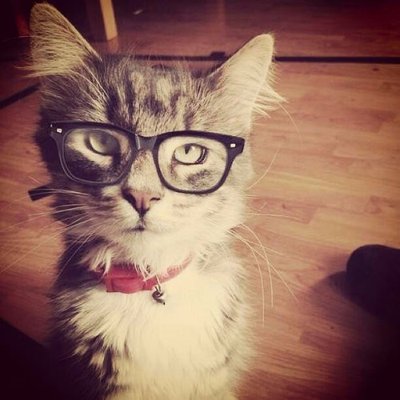 Profile Picture of Andrew Moretti (@LeonChansu) on Twitter