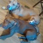 Lisa Glave - Instagram Profile Picture of Lisa Glave (@glavelisa) on Instagram