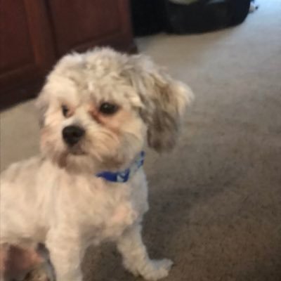 Profile Picture of Michael Burley (@MichaelBurley18) on Twitter