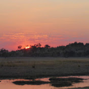 Profile Picture of Ruby Silva (@rubysilva6664) on Youtube