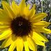 Profile Picture of Joyce Sipley (@joyce.sipley) on Facebook