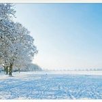 Profile Picture of QUONDA Q WIEBKE (@quondaq) on Instagram