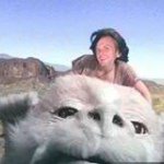 Profile Picture of Andy Wolverton (@wolvertonandrew) on Instagram