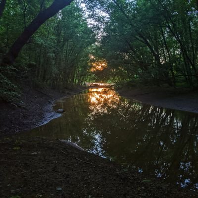 Profile Picture of Alexander Coates (@nyhike) on Twitter
