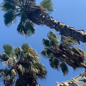 Profile Picture of Marcin Jankowski (@mjankowski199) on Youtube