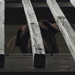 Profile Picture of Ethan Mcroberts (@mcroeed) on Instagram