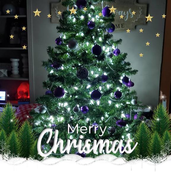 Profile Picture of Leanne Rasmussen (@leannerazz) on Poshmark