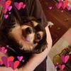 Profile Picture of Pam Osborne (@@user3597889724712) on Tiktok