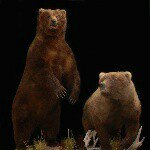 Profile Picture of brianrhoton (@brianrhoton) on Instagram