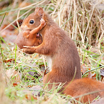 Profile Picture of Daniel Bertin (@danarlana) on Flickr