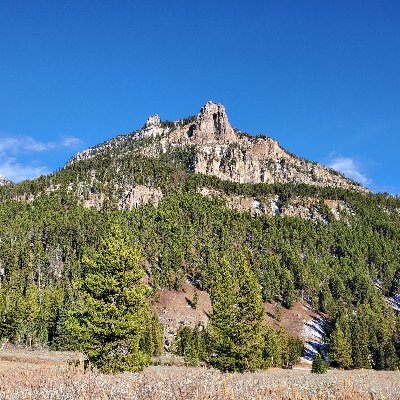 Profile Picture of Matthew Viereck (@ViereckMatthew) on Twitter