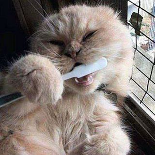 Profile Picture of Adam Degenhardt (@Adam-Degenhardt) on Facebook