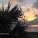 Profile Picture of Lisa Foster Cloud (@rockys47) on Pinterest