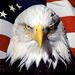 Profile Picture of Jerry Sheets (@jerry7795) on Pinterest