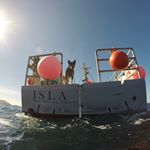 Profile Picture of Miles Wallace (@open_ocean_seafood) on Instagram