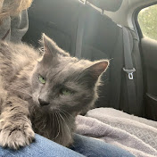 Profile Picture of Jenna Chase (@jennachase7006) on Youtube