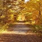 Profile Picture of Richard Boghossian (@richard.boghossian) on Facebook