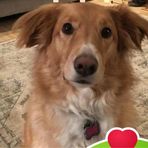 Profile Picture of Becky Harris Southwick (@becky.southwick.33) on Facebook