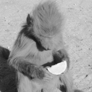 Profile Picture of Sam Dow (@Sam-Dow) on Facebook