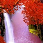 Jessica Mahadeo - Instagram Profile Picture of Jessica Mahadeo (@jessicamahadeo) on Instagram