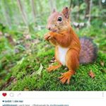 Profile Picture of Andrew Thomason (@thomason_andrew) on Instagram