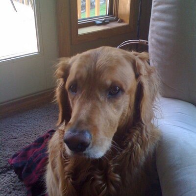 Profile Picture of Michael Oland (@mnmarathon355) on Twitter