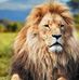 Profile Picture of Abdullah Popal (@abdullah.barak.374) on Facebook