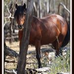 Profile Picture of Catherine Gibbons (@gibbons6912) on Instagram