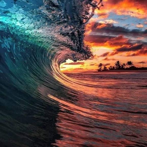 Profile Picture of Nikki Rotmeyer (@akastes) on Poshmark