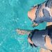 Profile Picture of Julianna Clausen (@jewels444) on Pinterest