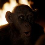 Profile Picture of Chris Goodspeed (@Chris-Goodspeed) on Facebook