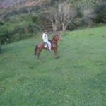 Profile Picture of David Ponciano (@davidponcianoaugusto) on Instagram