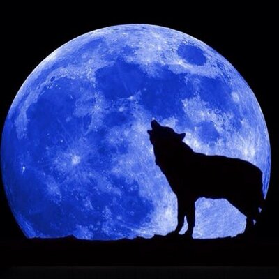 Profile Picture of Bill Christenson (@BillLonewolfbc) on Twitter