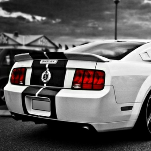 Profile Picture of Alexander Cuevas (@snake0206) on Poshmark