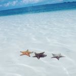 CAYO LARGO 🏝 Isla Del Sur ☀️ - Instagram Profile Picture of CAYO LARGO 🏝 Isla Del Sur ☀️ (@cayolargocuba) on Instagram