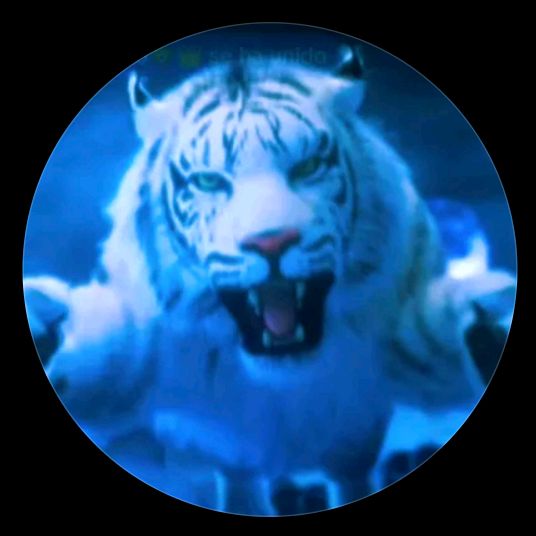 Profile Picture of 🤍 Roberpito 🤍 (@robersito55) on Tiktok