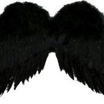 Shawna Woodland Dowdy - Instagram Profile Picture of Shawna Woodland Dowdy (@phoenix4077) on Instagram