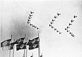 Profile Picture of Organization of the Luftwaffe (1933–1945)on Wikipedia