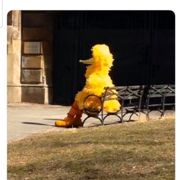 Profile Picture of Jermell Sanford (@jermellsanford) on Poshmark