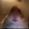 Profile Picture of Mikey Richards (@tyce.meat.missle) on Tiktok