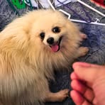 Profile Picture of Michael Dozen (@Michael-Dozen) on Facebook