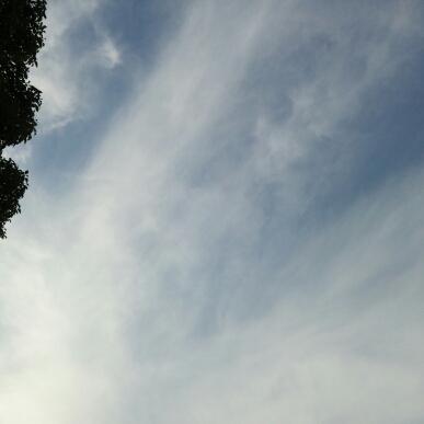 Profile Picture of Gu-tyokipa- (@htApril2) on Twitter