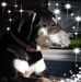 Profile Picture of Laura Helseth (@laura.helseth.3) on Facebook