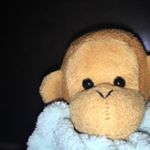 Profile Picture of Frank_Monkey (@frank.the.monkey1) on Instagram