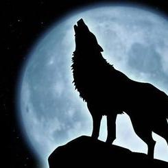 Profile Picture of Darwin Harris (@darwinharris01) on Twitter